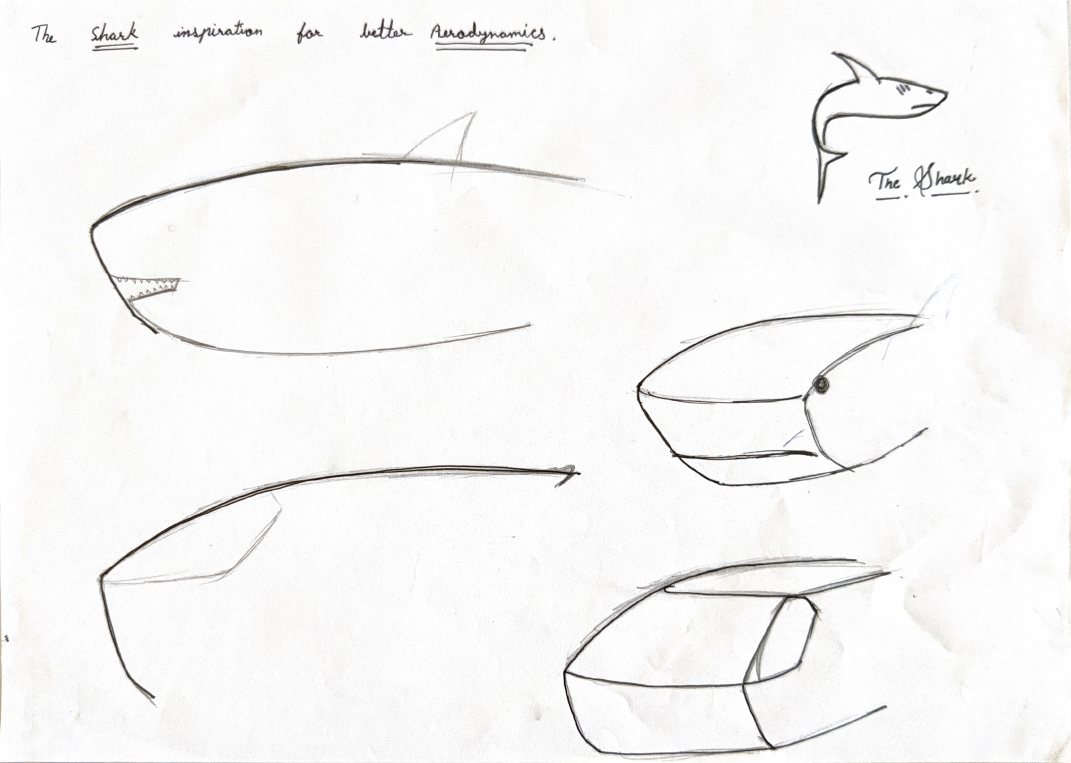 Shark inspiration sketches for aerodynamics